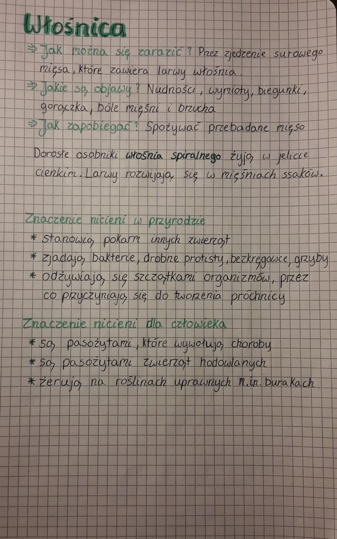 # Nicienie
Gdzie żyją nicienie?
- we wszystkich środowiskach wodnych i lądowych
- w organizmach roślin i zwierząt
Jak wyglądają nicienie?