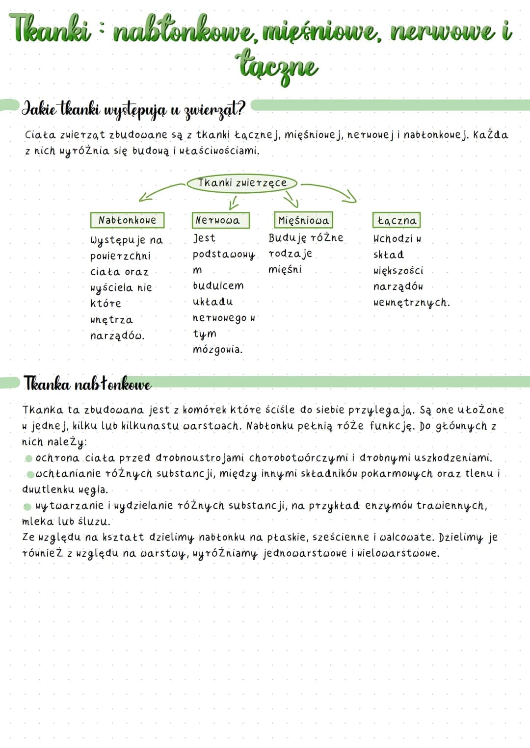 # NABŁONKI
## Jednowarstwony płaski
* Buduje ściany pęcherzyków płodnych
## Jednowarstwowy sześcienny
* Występuje w kanalikach budujących ne