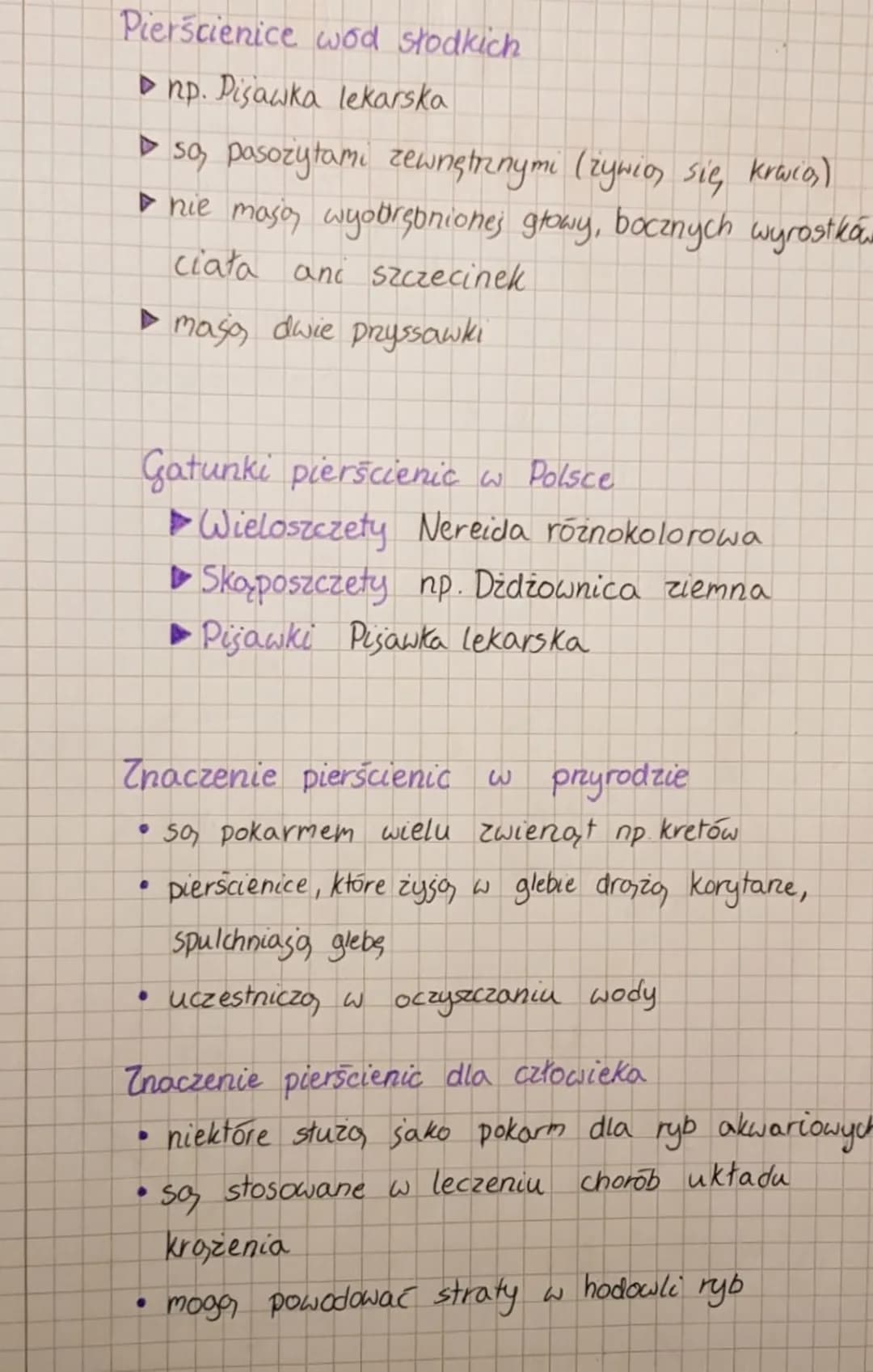 # PIERŚCIENICE
## Gazie tysa?
- w wodach món i oceanow
- w glebie i ściółce
## Jak wyglądają?
- masa wydłużone wakowate ciało
- sa, podzie
