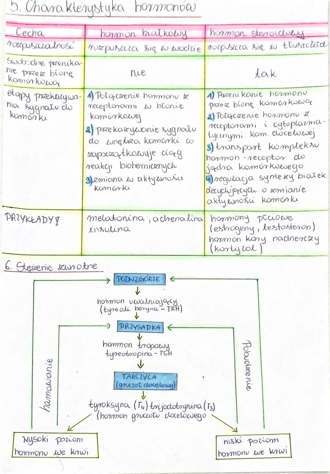 # 4 Męskie nazaącly rozrodcze
1) Spermatogeneza - to proces powstawania plemników.
Zachodzi wewnągle jader w kanalikach nasiennych.
2) Yadra