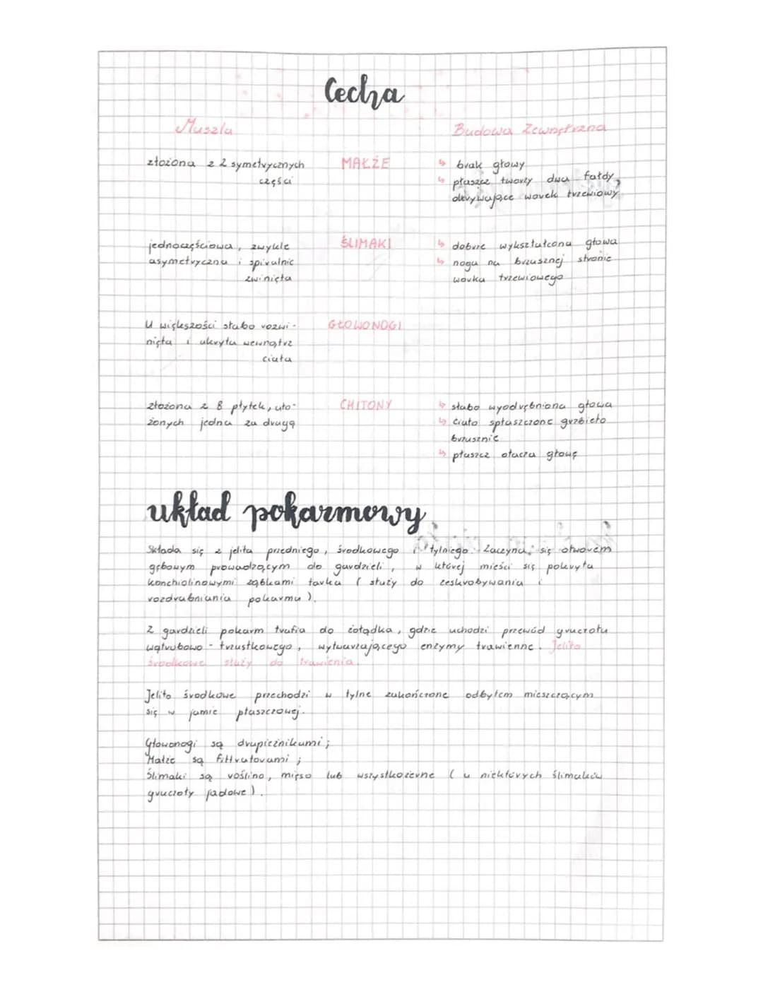 ## Mięczaki
### systematyka
TYP: MIĘCZAKI
GROMADA:
- Ślimaki
- głowonogi
- małże
- chitony
- jednotarczowce
- łódkonogi
- Najliczniejszy t