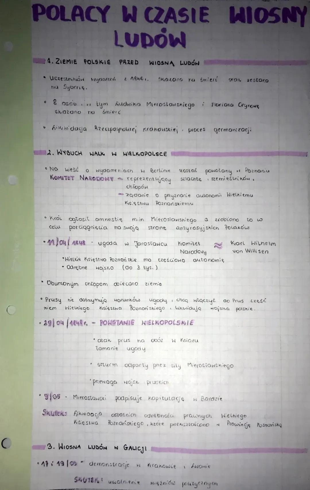 Polacy w czasie wiosny ludów