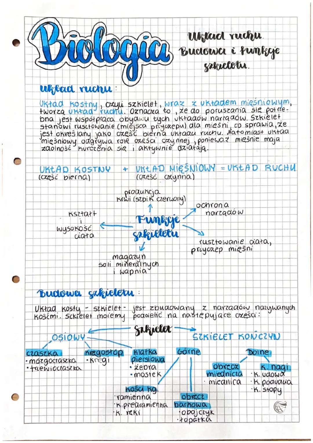 Budowa i funkcje szkieletu