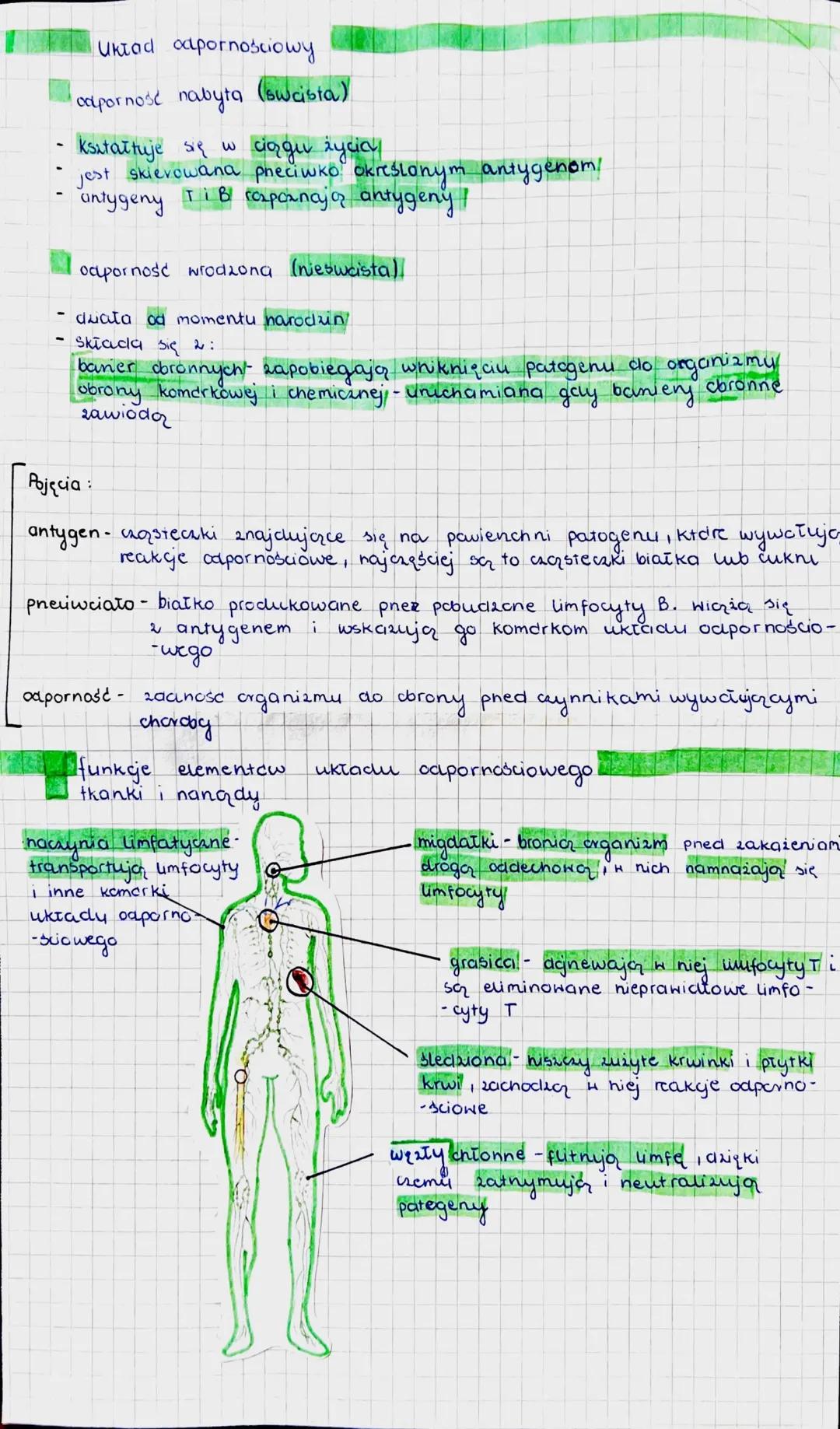 # Układ odpornościowy
odporność nabyta (swcisia)
- kształtuje się w ciągu życia
- jest skierowana preciwko określonym antygenom!
- antygen