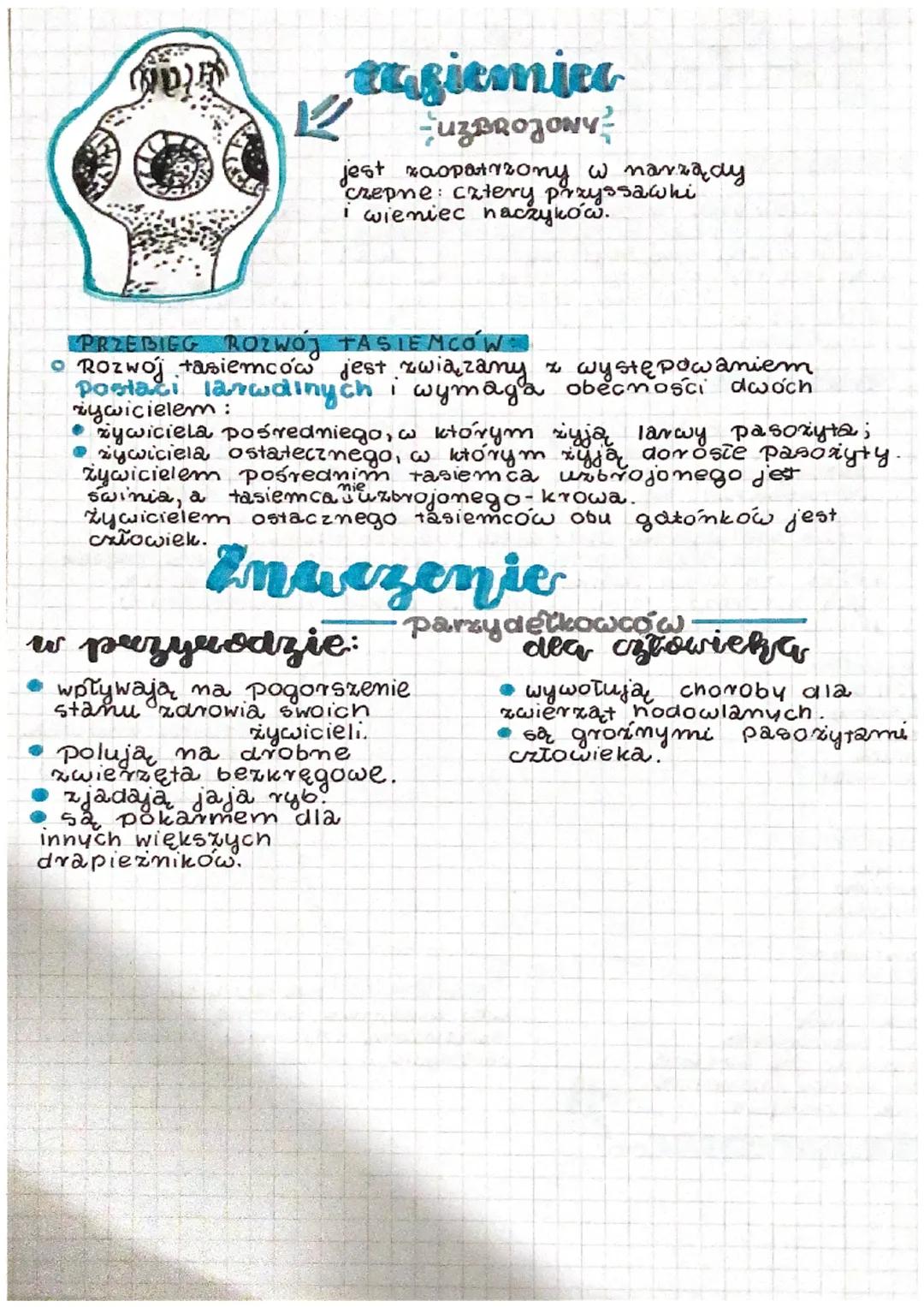 plagnice
-MIEJSCE ŻYCIA
oldecydowana większość praznicow to pasożyty, które
żyją w marządach wewnętrznych
kręgowych, między innymi w jelicie