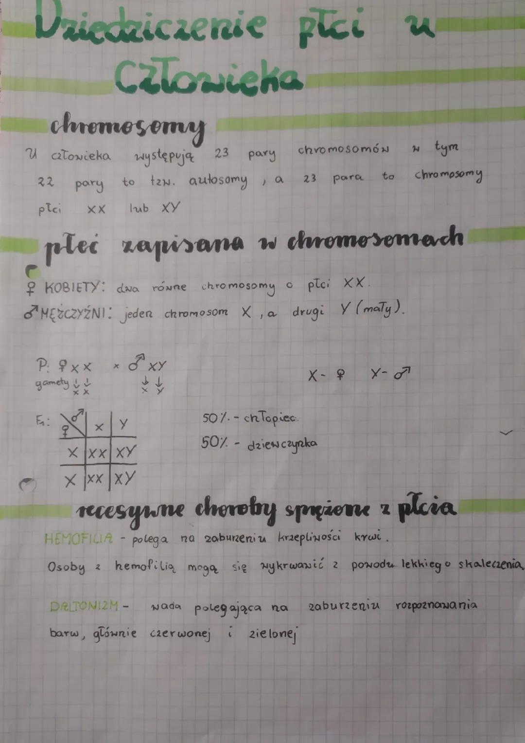 Dziedziczenie płci u
człowieka
chromosomy
U człowieka występują
22
płci
23
to tzw. autosomy
lub ху
plei zapisana w chromosomach
KOBIETY: dwa