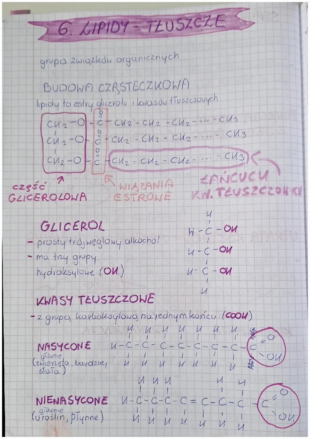 Lipidy: podstawowe tłuszcze biologiczne