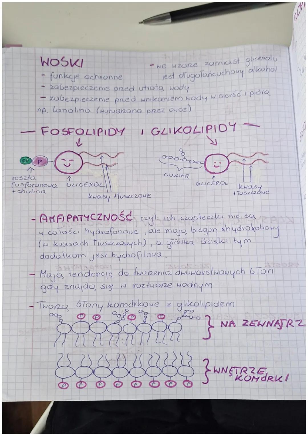 26. LIPIDY TŁUSZCZE
grupa związków organicznych
BUDOWA CZASTECZKOWA
lipidy to estry glicerolu, kwasów tłuszczowych
część
9
Сиг-о-с-сиг-сиг -