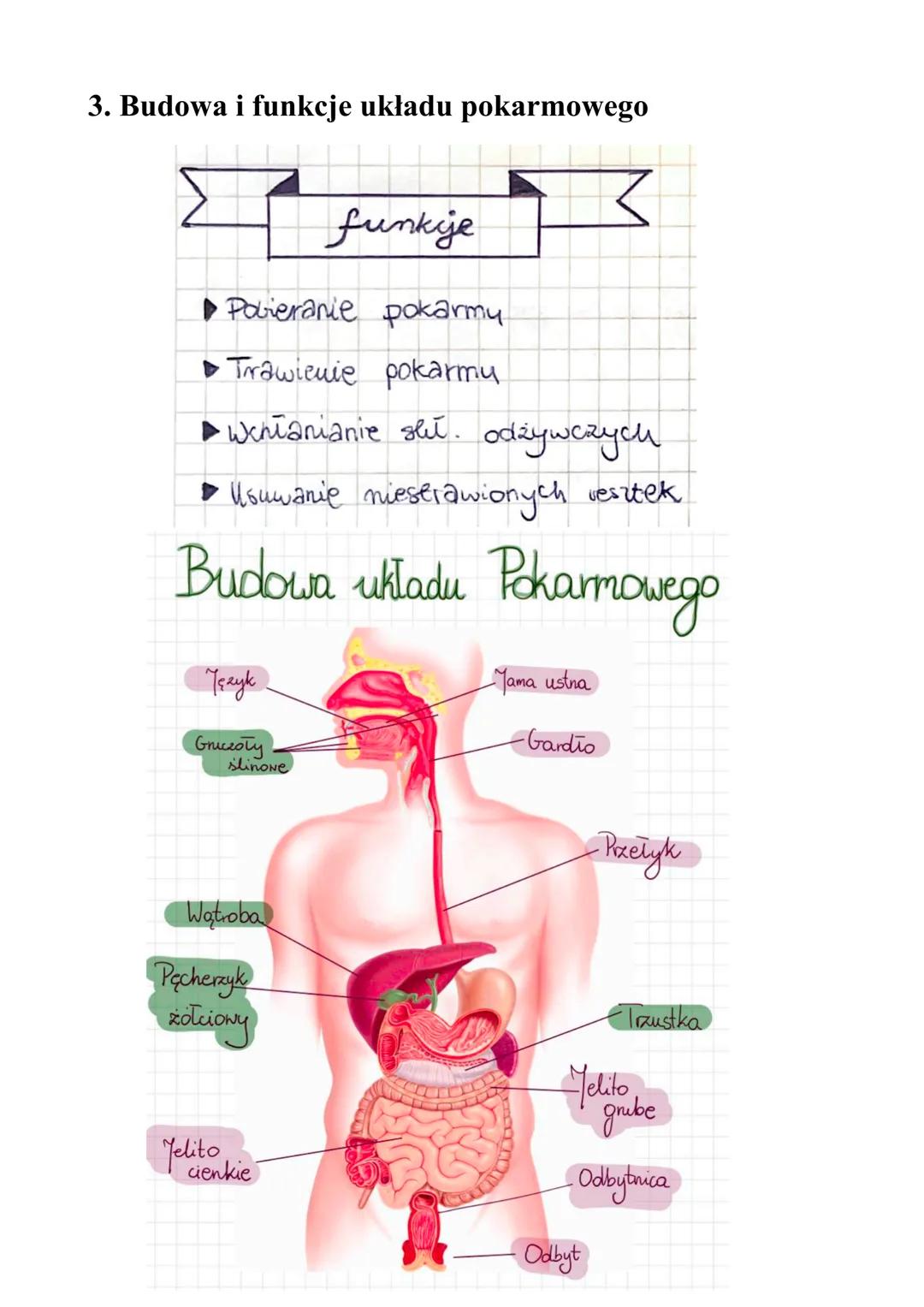 1. Organiczne składniki pokarmowe
1. Cukry
• CUKRY (węglowodany) - ich podstawową funkcją jest dostarczanie
organizmowi energii. Pełni funkc
