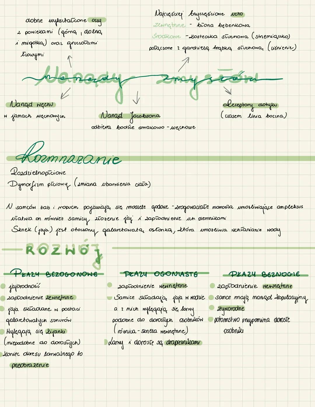 # Plazy
* Zmiennociepene
* ziemno-wodny tryb zycia
* niska temperatura ogranicza ich funkcje zyciowe
* zapadaja w bibermacje
(Amph