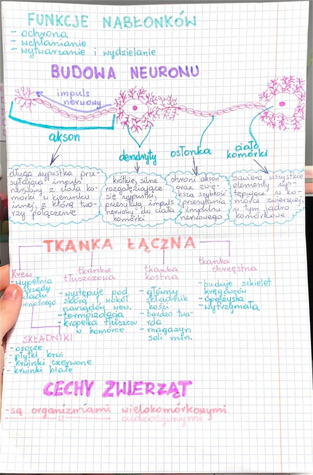 POZIOMY ORGANIZACJI CIAŁA
ZWIERZĄT
KOMÓRKA →→ TKANKA→→NARZĄD
kręgowce
brazenek
•gady
pytor
praki
sojka
ssaki
سعا
ZWIERZĘTA
TKANKI ZWIERZĘCE