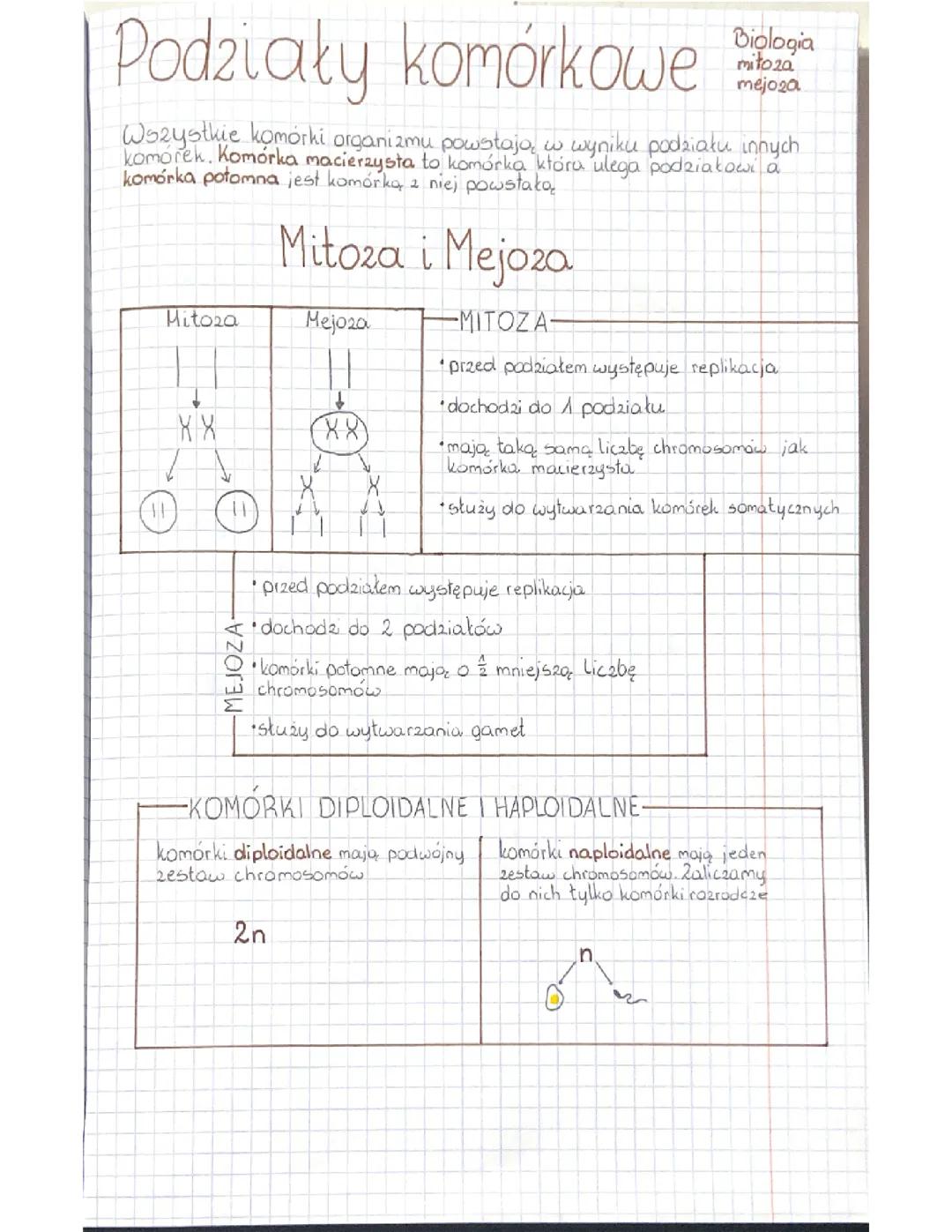 Mitoza i Mejoza