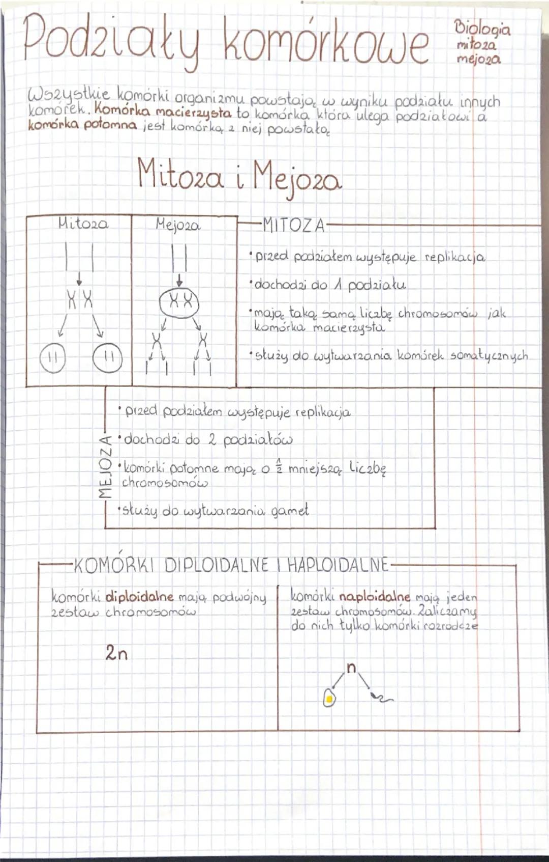 Podziały komórkowe
Biologia
mitoza
mejoza
Wszystkie komórki organizmu powstają w wyniku podziału innych
komórek. Komórka macierzysta to komó