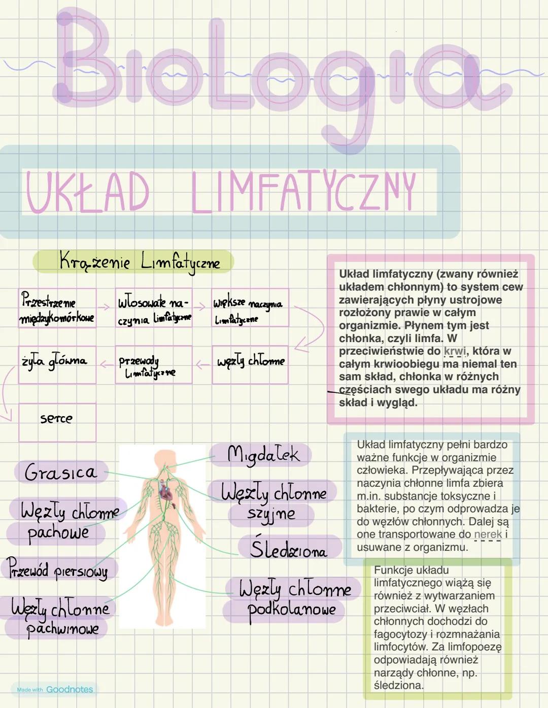# BioLogia
# UKŁAD LIMFATYCZNY
## Krążenie Limfatyczne
Przestrzenie
międzykomórkowe
włosowate na- większe naczynia
czynia Limfatyczne Lim