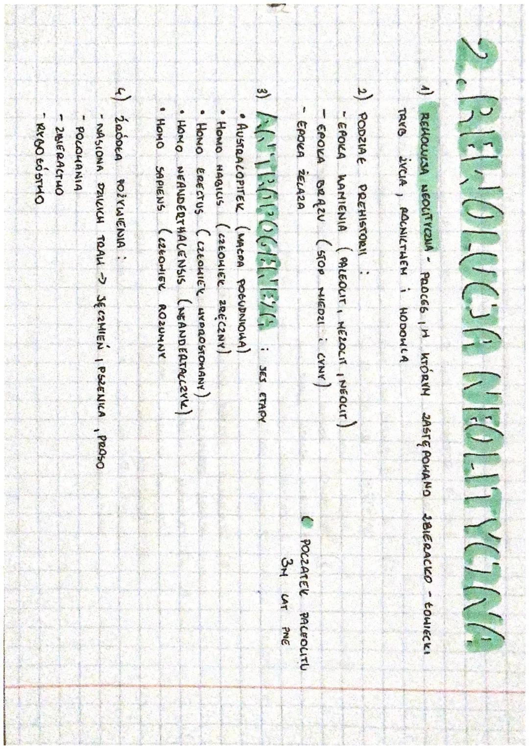 Rewolucja neolityczna