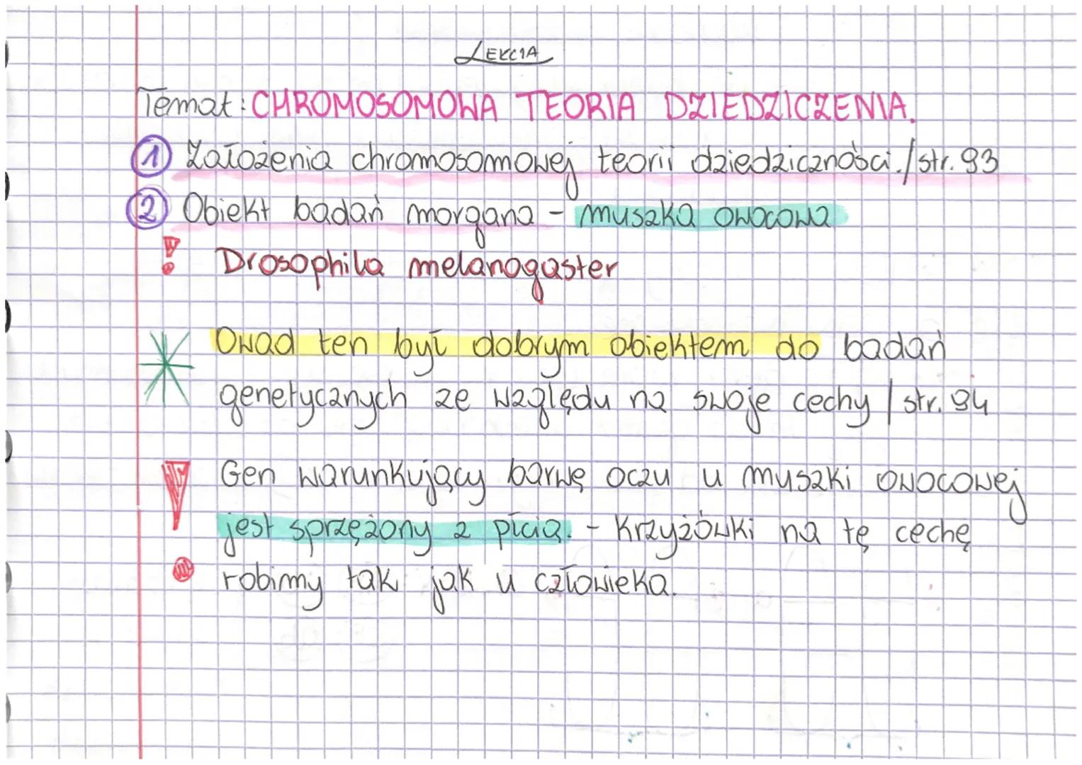 LEKCIA
Temat: CHROMOSOMOWA TEORIA DZIEDZICZENIA.
① Założenia chromosomowej teorii dziedziczności./str. 93
② Obiekt badań morgana - musaka
