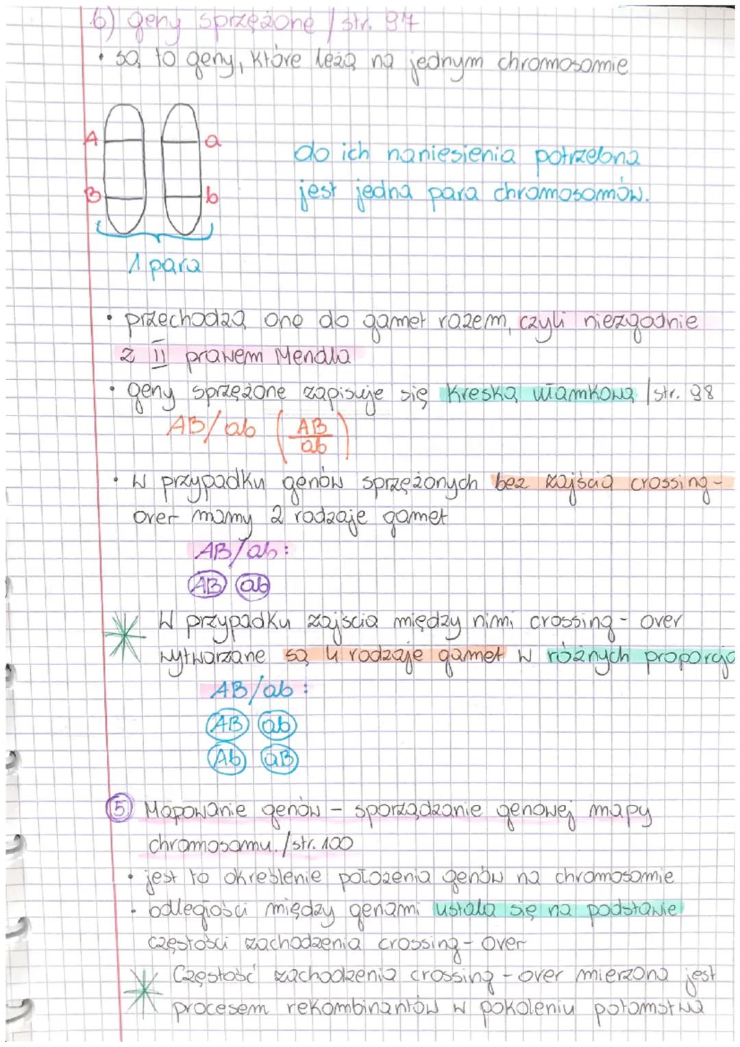 LEKCIA
Temat: CHROMOSOMOWA TEORIA DZIEDZICZENIA.
① Założenia chromosomowej teorii dziedziczności./str. 93
② Obiekt badań morgana - musaka