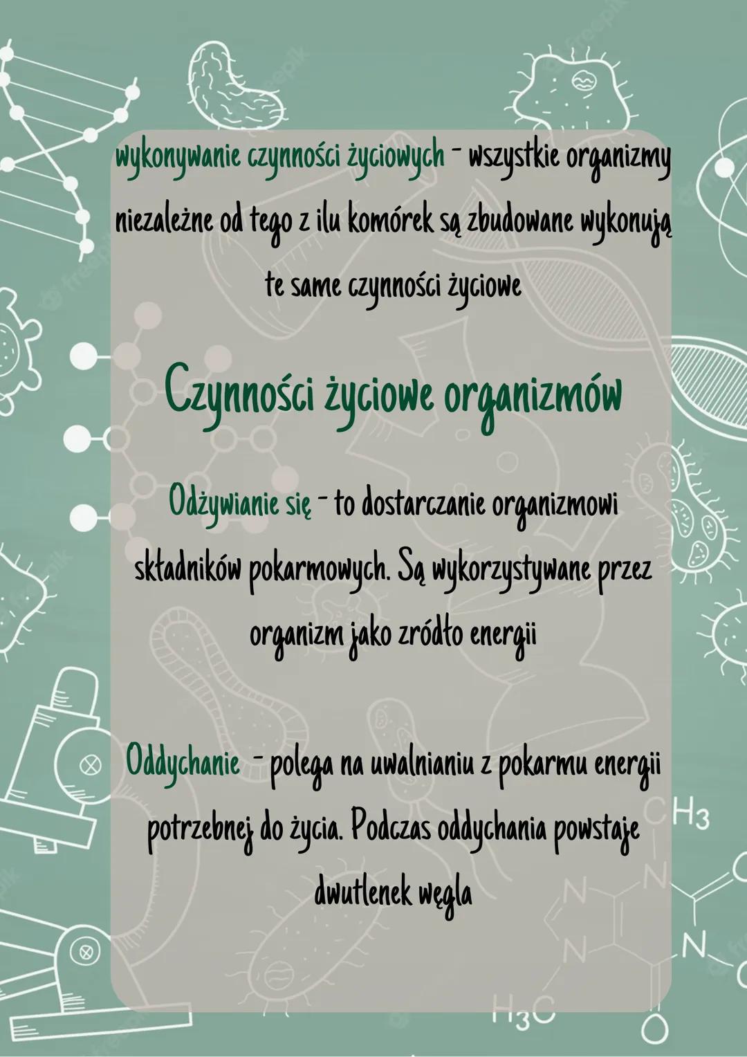 Biologia jako nauka
Czym zajmuje się biologia
freep
respi
Biologia to nauka, która zajmuje się badaniem
budowy i czynności życiowych wszystk