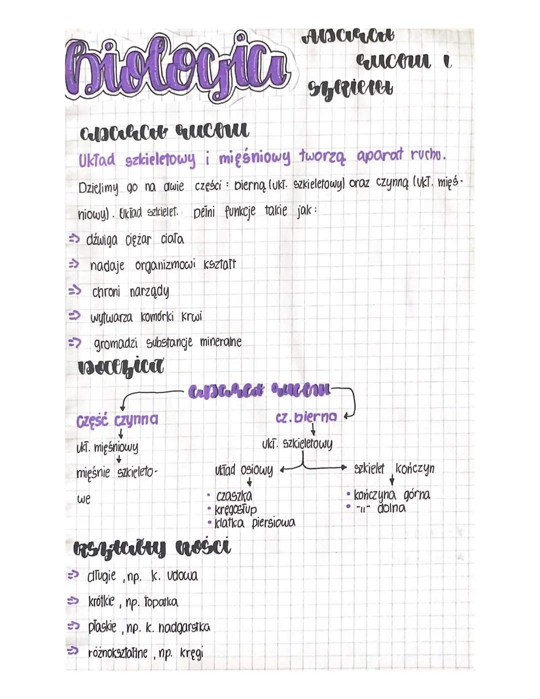 Aparat ruchu i szkielet