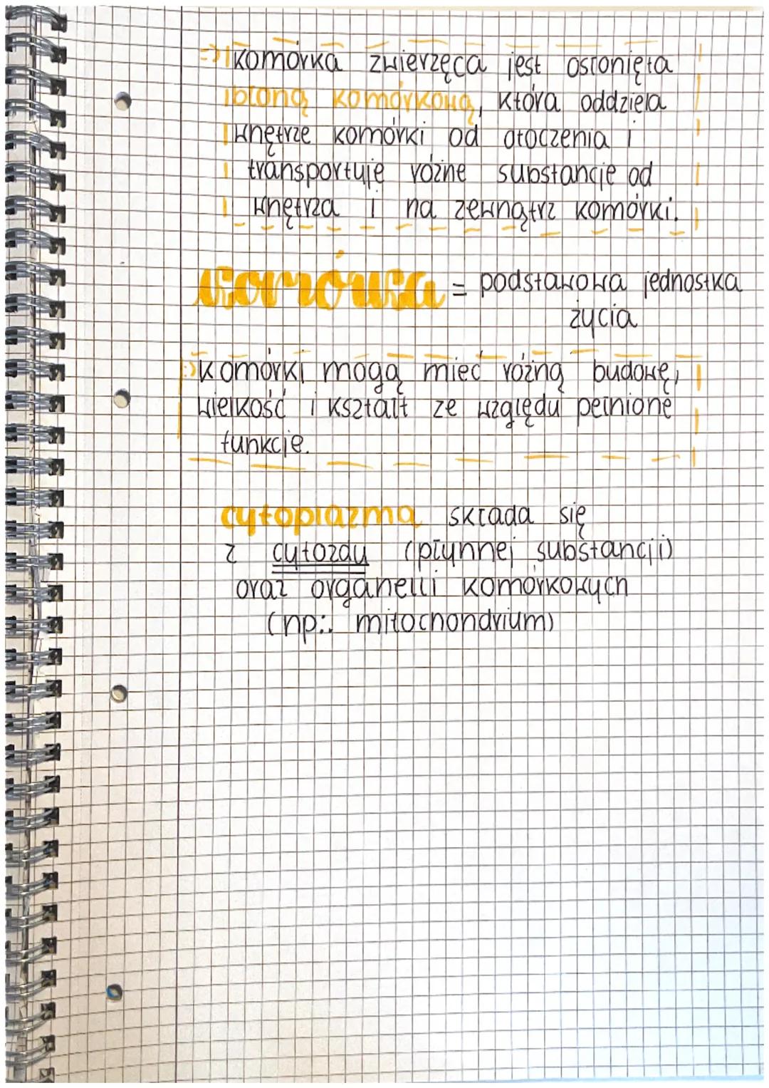 .
2
BAL
O
0
komórica
ZAMOTRICO
Hodniczka
Yubosomu
09 99 00
20999
O
R
US
jądro
кото коне
aparat
golgiego
siateczka
svo dplazmatyan
mitochondr