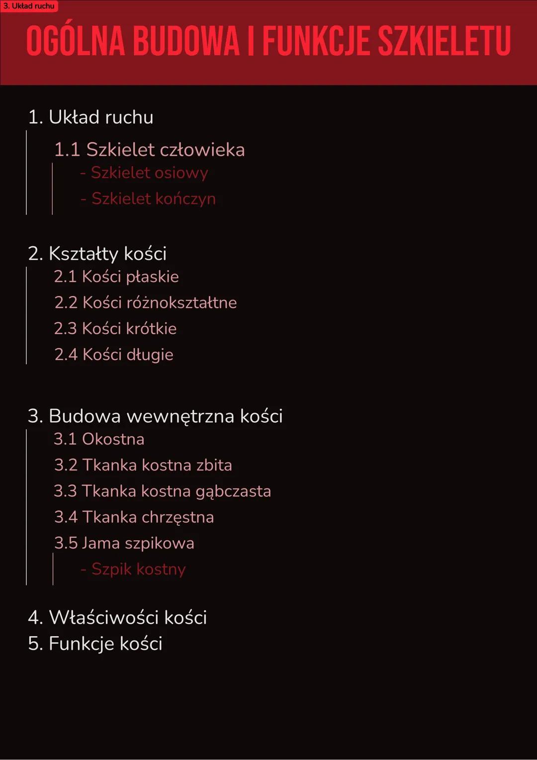 Ogólna budowa i funkcje szkieletu