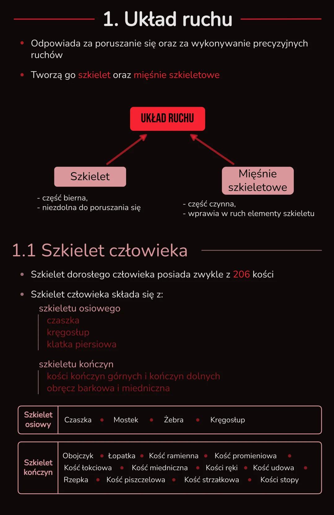 3. Układ ruchu
# OGÓLNA BUDOWA I FUNKCJE SZKIELETU
1. Układ ruchu
1. 1 Szkielet człowieka
- Szkielet osiowy
- Szkielet kończyn
2