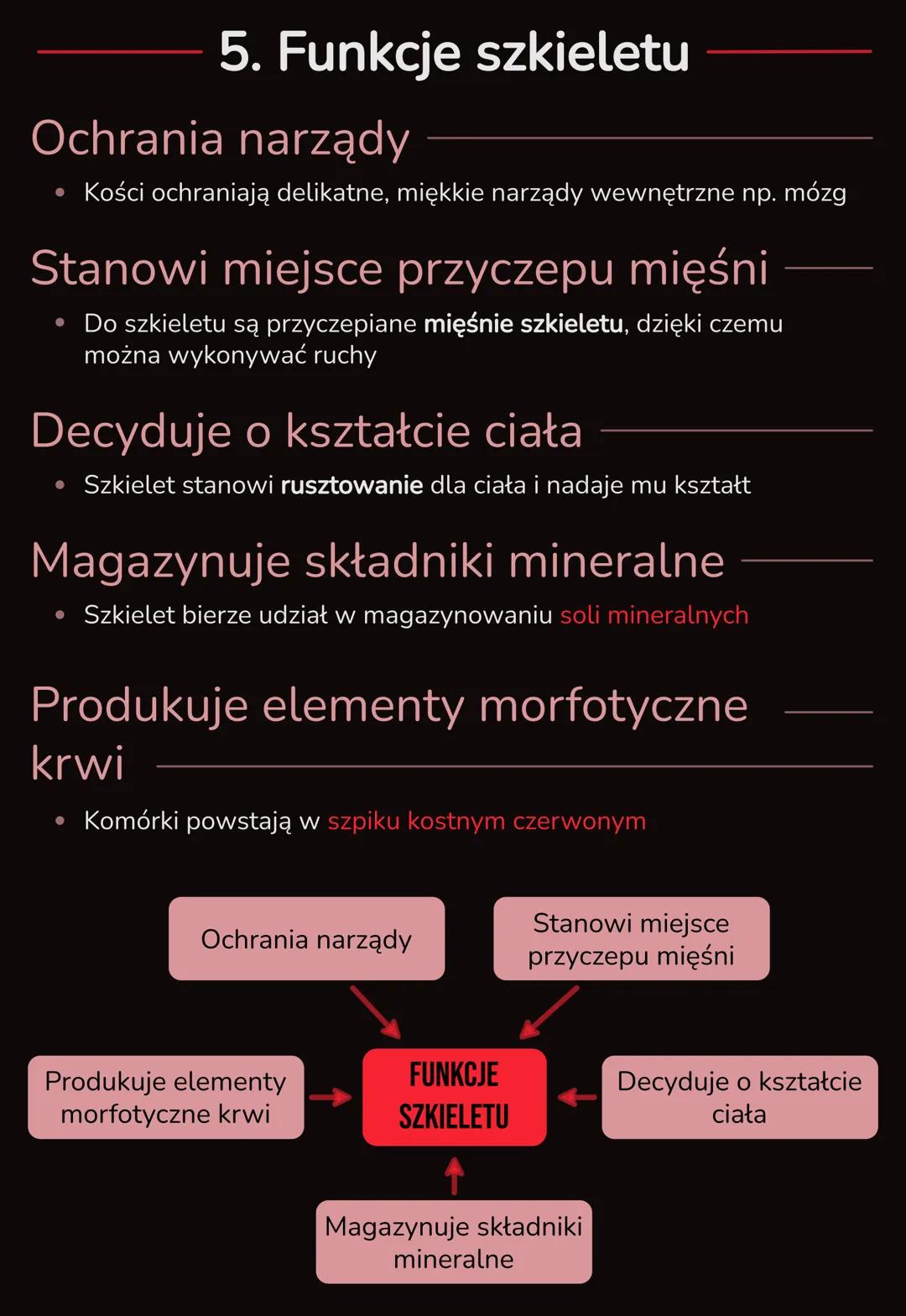 3. Układ ruchu
# OGÓLNA BUDOWA I FUNKCJE SZKIELETU
1. Układ ruchu
1. 1 Szkielet człowieka
- Szkielet osiowy
- Szkielet kończyn
2