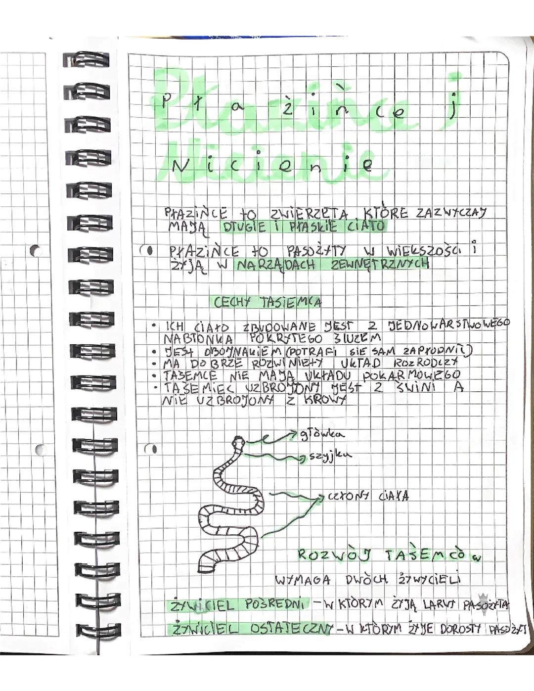 Przewodnik po Płazińcach i Nicieniach - Klasa 6