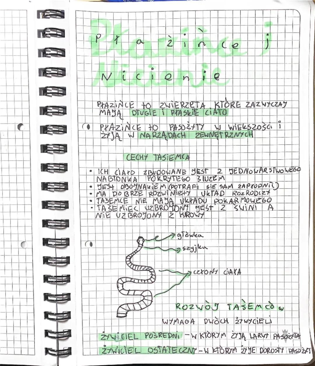 Pł
a
zince
Nicie
PŁAZINCE to ZWIERZĘTA KTÓRE ZAZWYCZAJ
MAJA DTUGIE i PrASKIE CIATO
• PŁAZINCE HO PASSETY W WIEKSZOśa i
2JĄ W NARZA DACH ZEWN