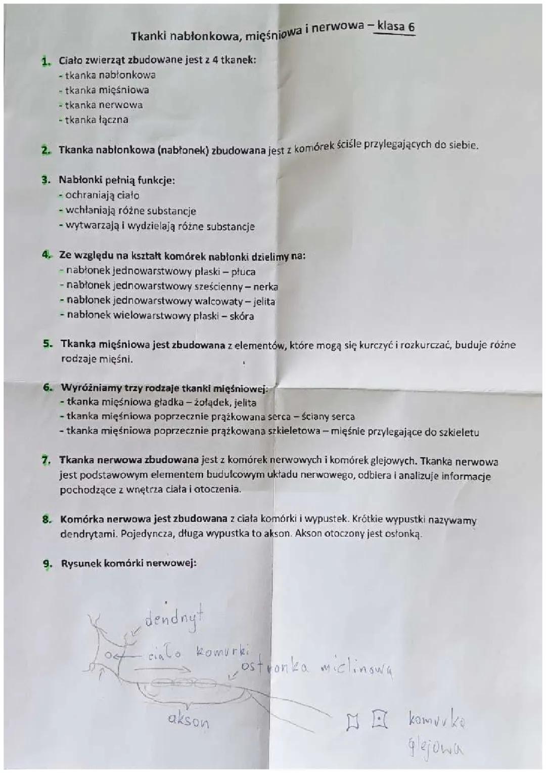 Tkanka zwierzęca