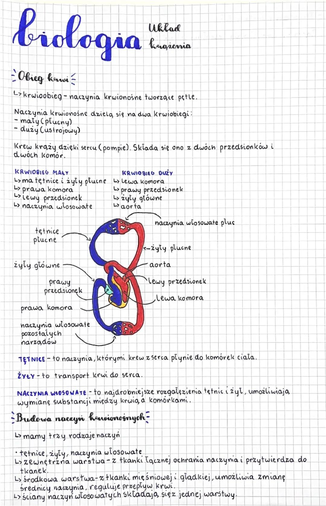 brologia
Uklad
hagienia
Obieg kevi
L>krwioobieg - naczynia krwionośne tworzące pętle.
Naczynia krwionośne dzielą się na dwa krwiobiegi:
mały