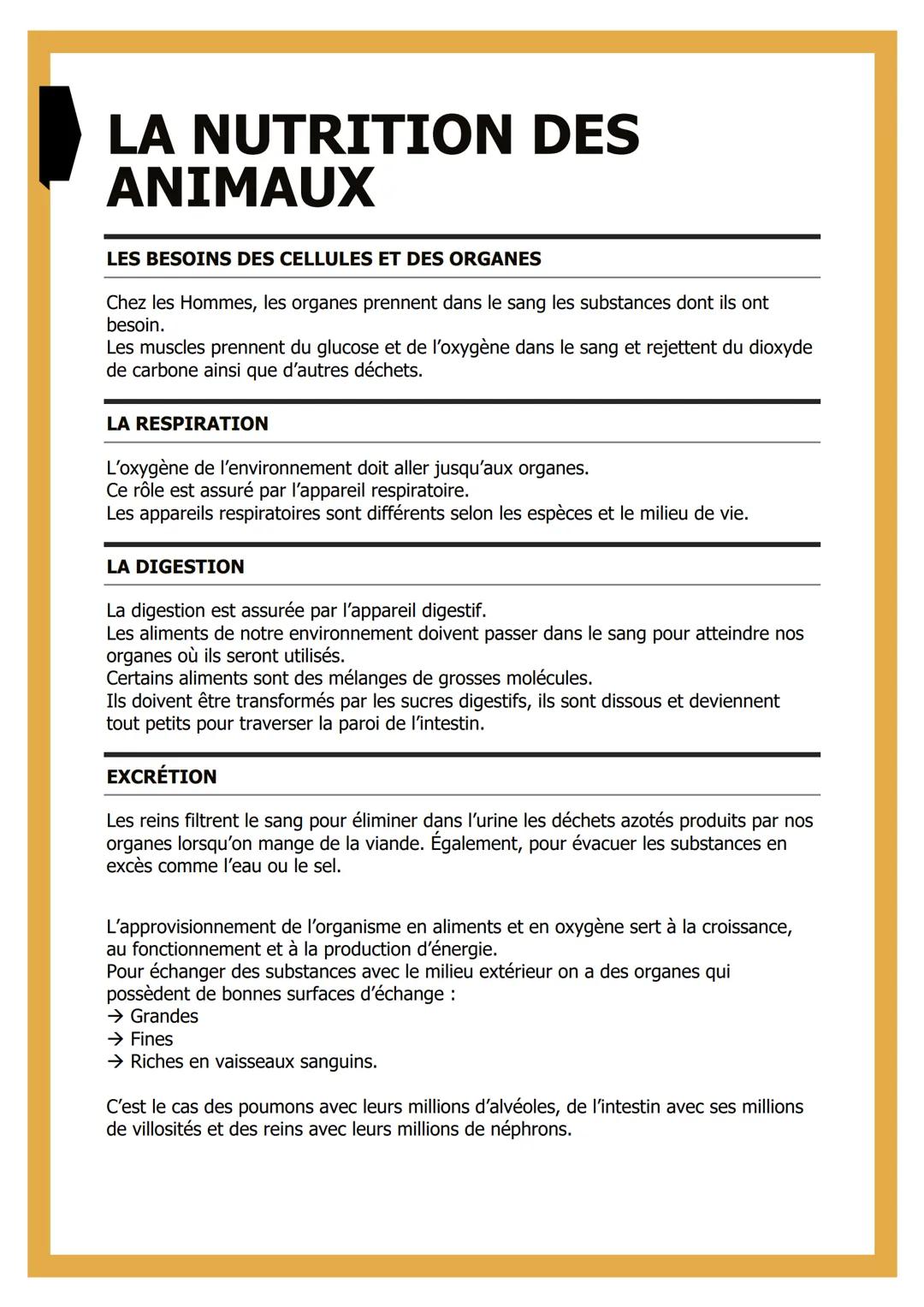 # LA NUTRITION DES
ANIMAUX
LES BESOINS DES CELLULES ET DES ORGANES
Chez les Hommes, les organes prennent dans le sang les substances dont