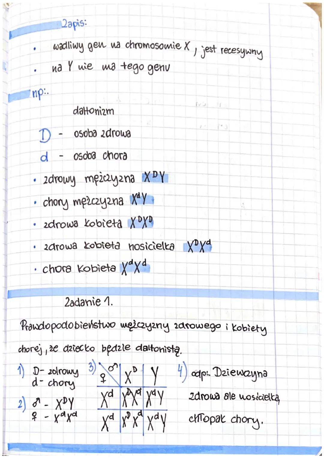 temab Dziedziczenie płci u człowieka.
Ek
XX
chromosomy
Kobiety
Kariotyp człowieka :
22 pary chromosomów autosomalnych
1 parę (23 chromosom)