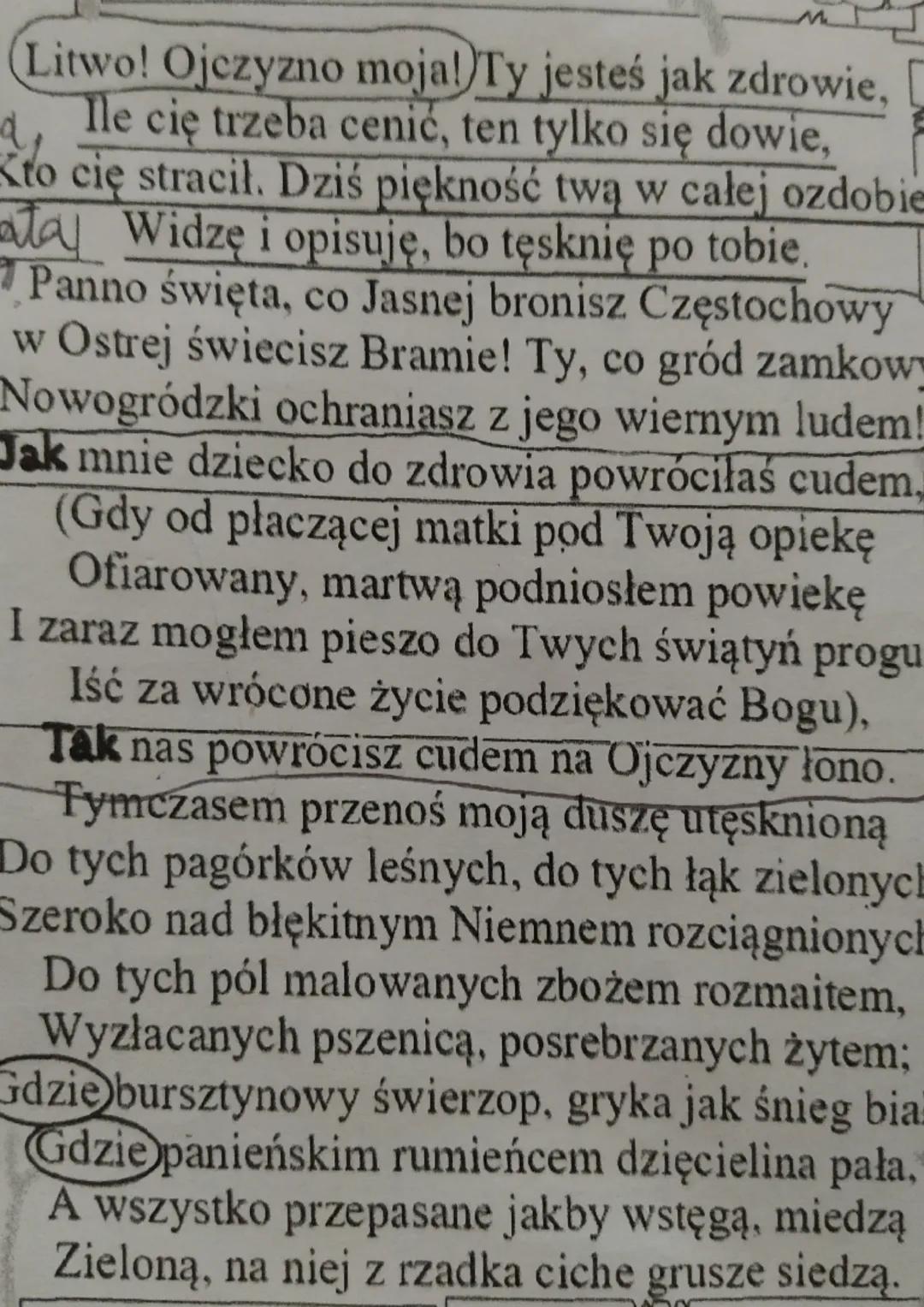 Litwo! Ojczyzno moja! Ty jesteś jak zdrowie,
Ile cię trzeba cenić, ten tylko się dowie,
Kto cię stracił. Dziś piękność twą w całej ozdobie
a