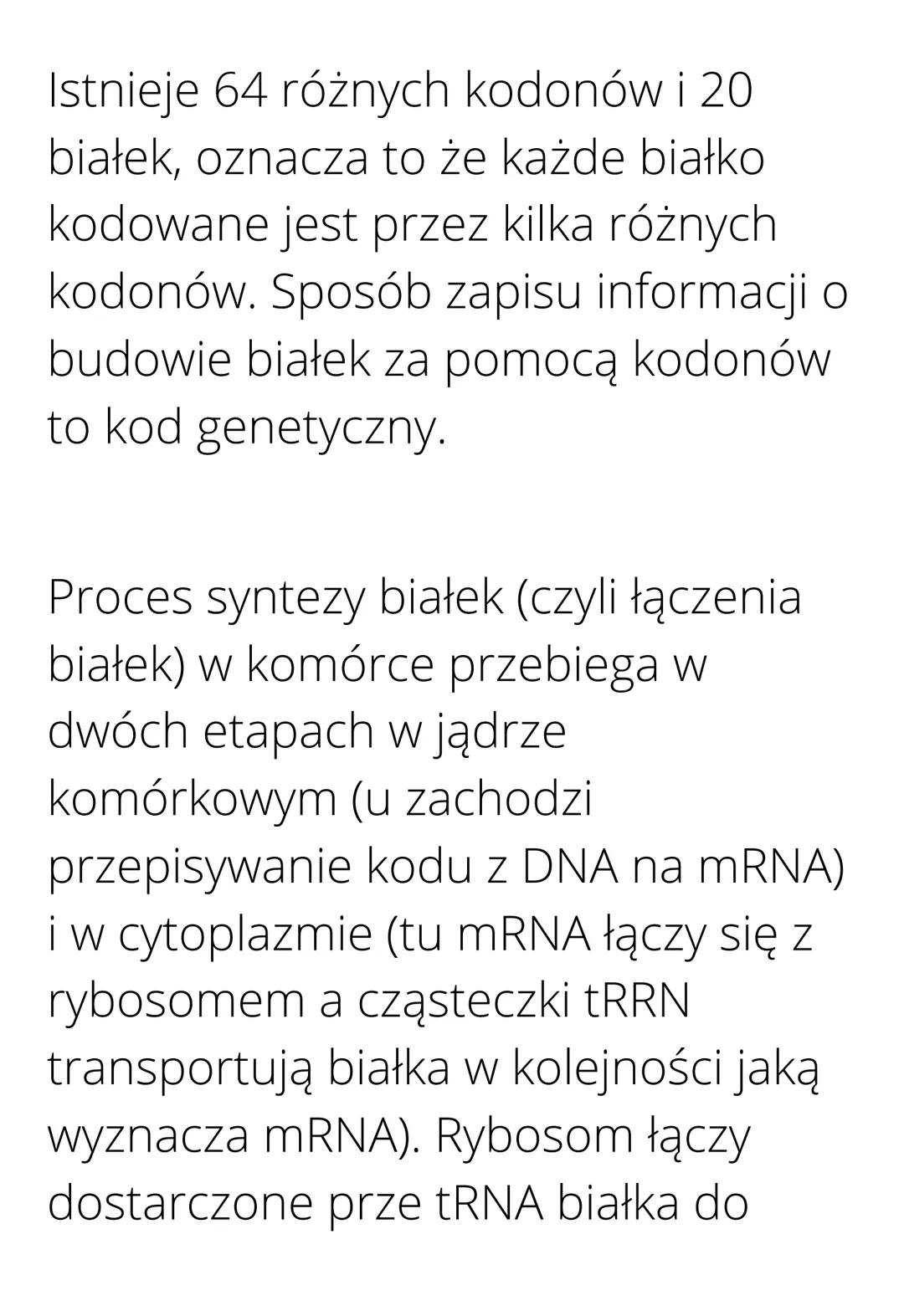MITOZA to podział komórkowy, w
wyniku którego z komórki
macierzystej powstają dwie
identyczne komórki, w każdej
komórce potomnej (takiej, kt