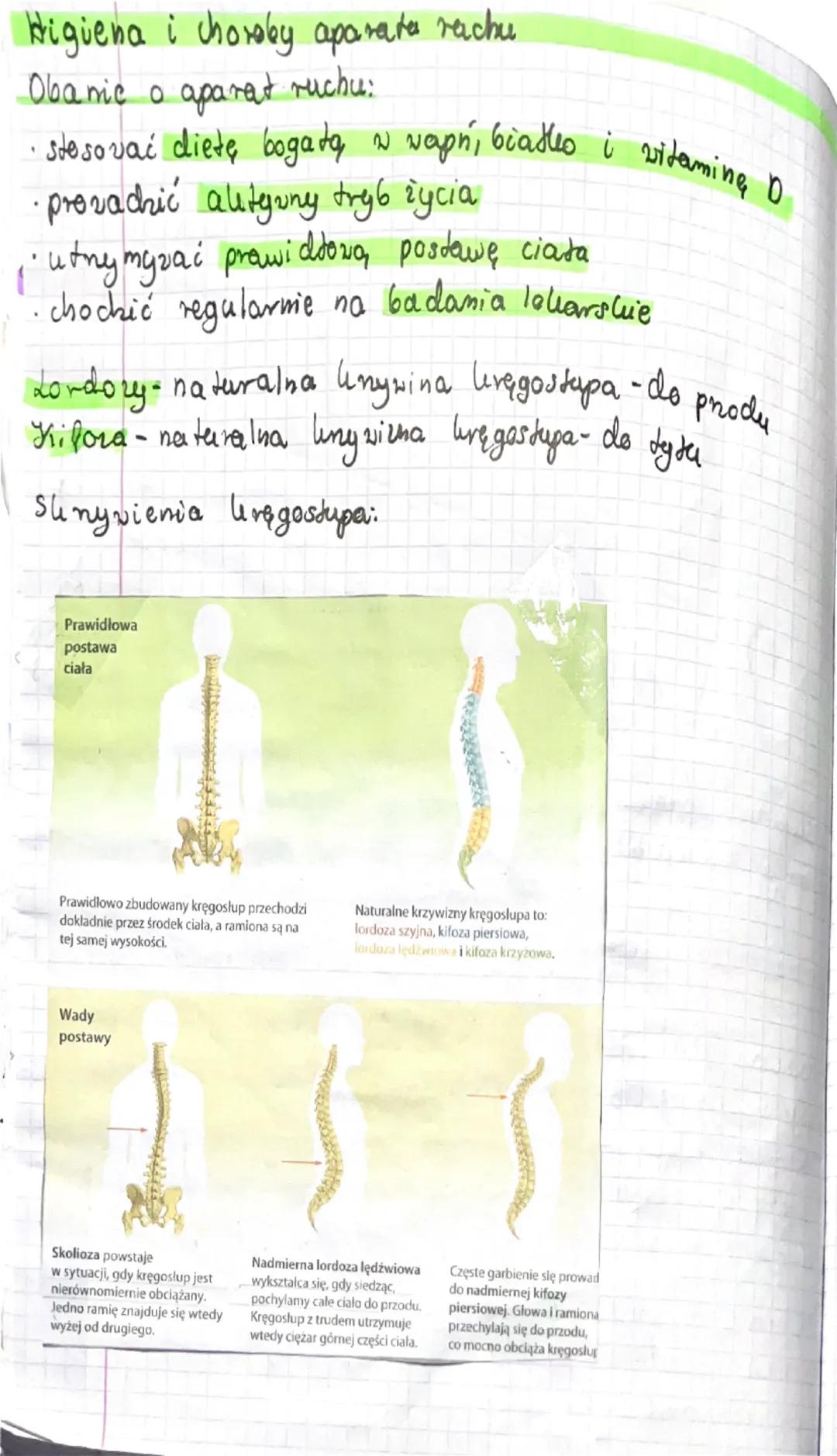 Higiena i Choroby Układu Ruchu: Wszystko Co Powinieneś Wiedzieć