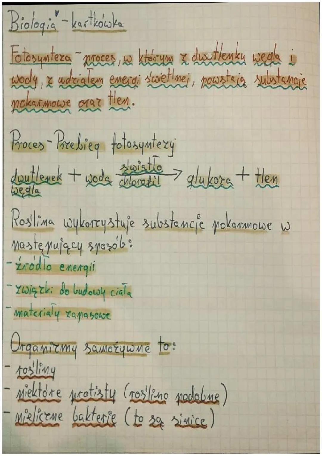 Fotosynteza w Przyrodzie