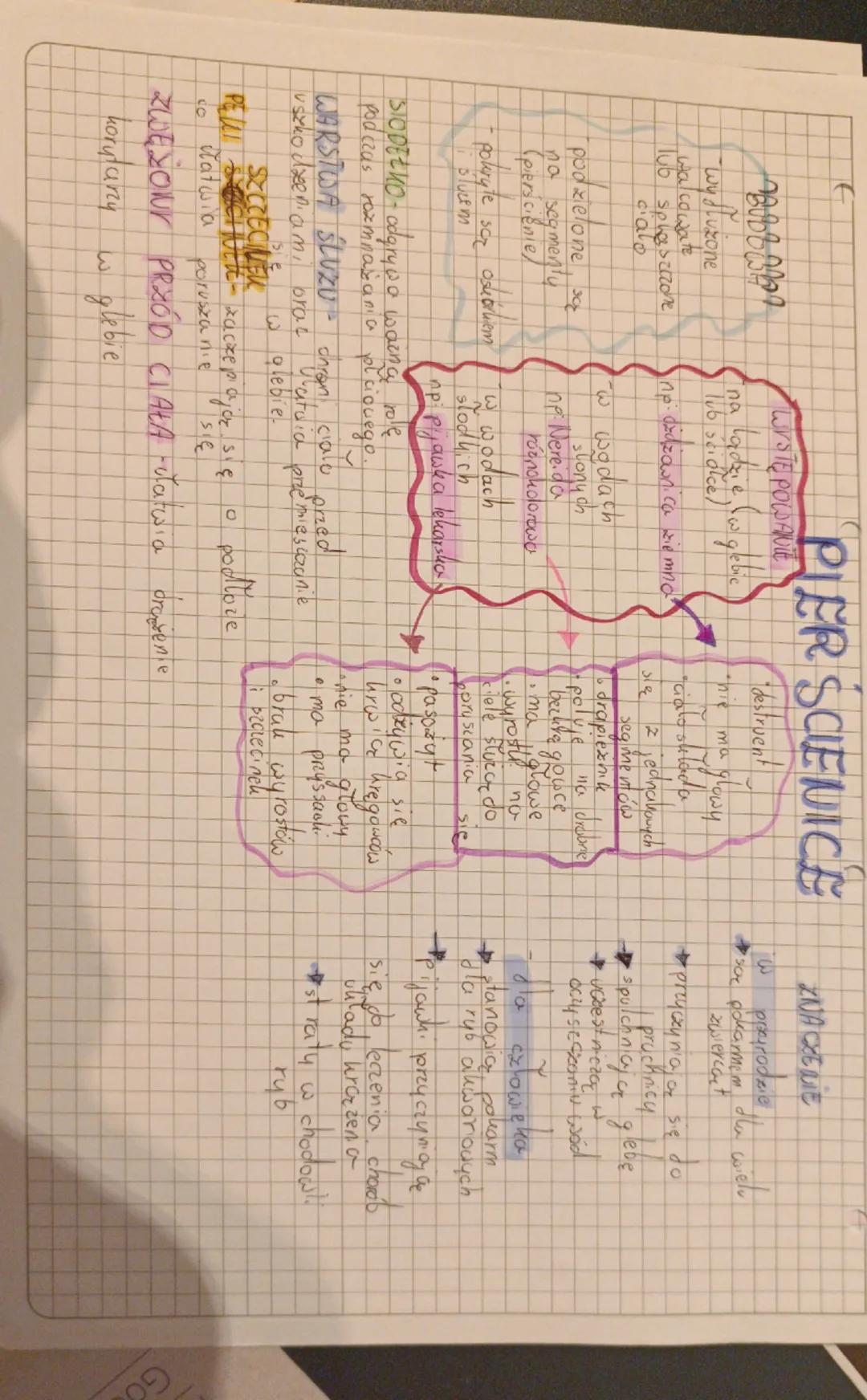 G
wy dluzone
walcowate cha
sphesitzone
calo
podzielone x
na segmenty
(pierścienie)
- pokryte sor osuarliem
blucem
PIER SCIENICE
WYSTĘ PO
