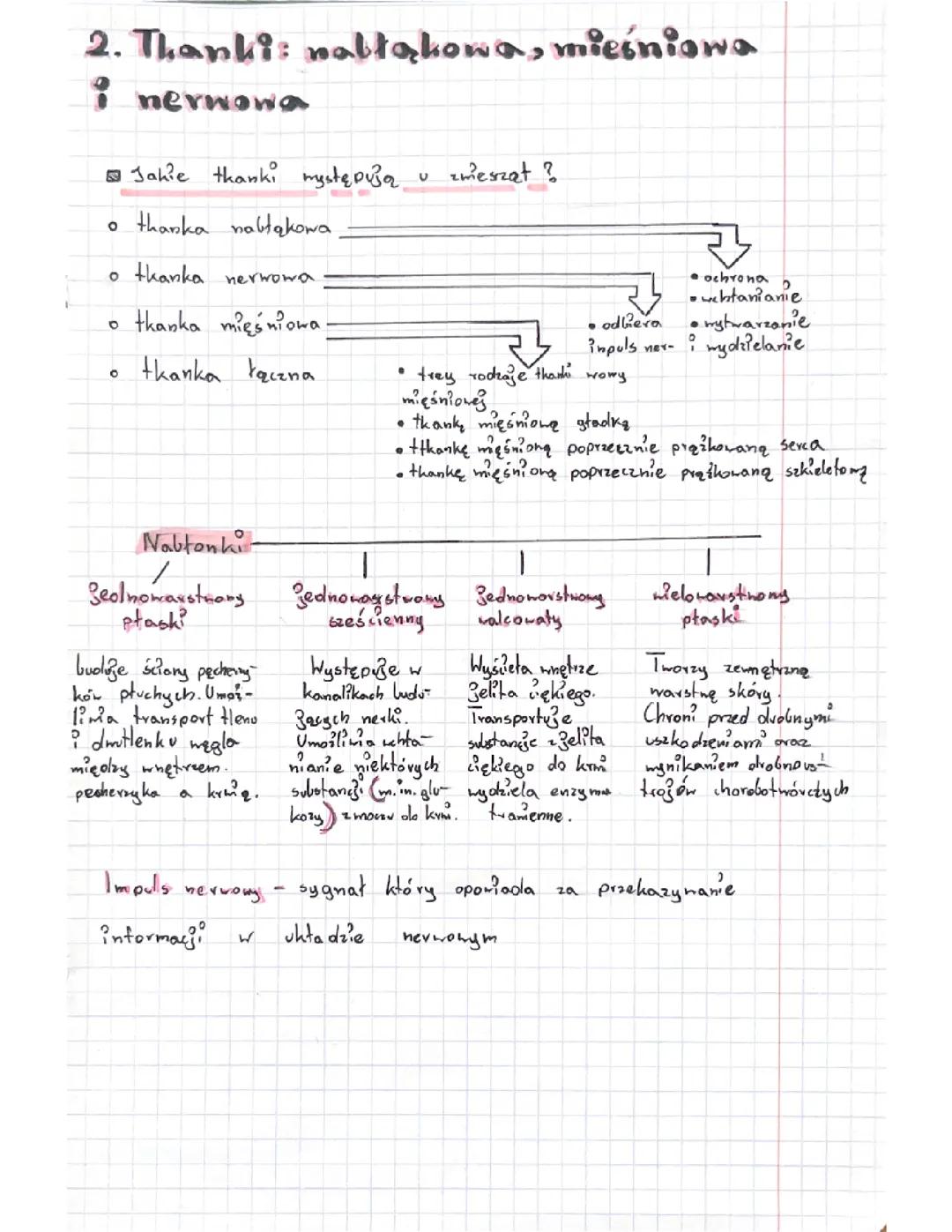Biologia klasa 6