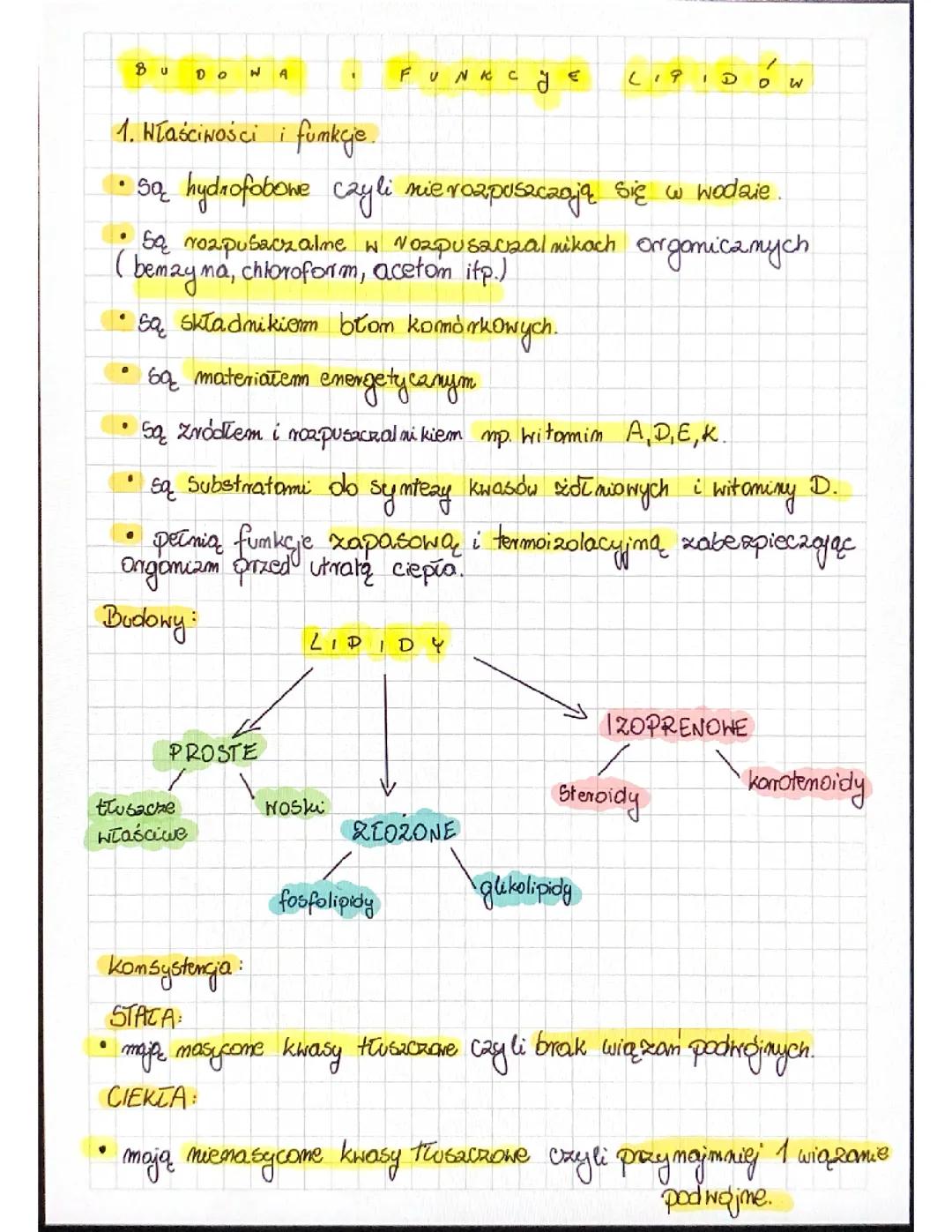 Budowa i funkcje lipidów