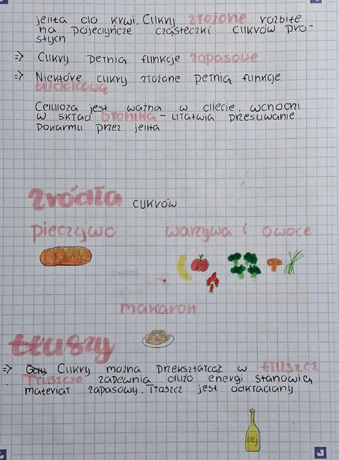 --- OCR Start ---
Biatka
Pernią funkcje Buduicong cizięki nim
organizm może rosnąć i się vegenerować
biatka
pocnacza tylko z jęczenia. Musza
