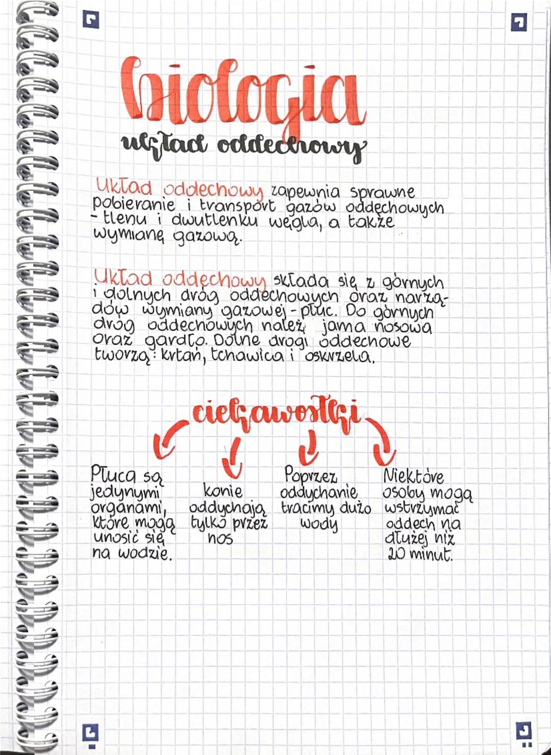 # biologia
ulstad oddechowy
Układ oddechowy zapewnia sprawne
pobieranie i transport gazów oddechowych
- tlenu i dwutlenku węgla, a także
w