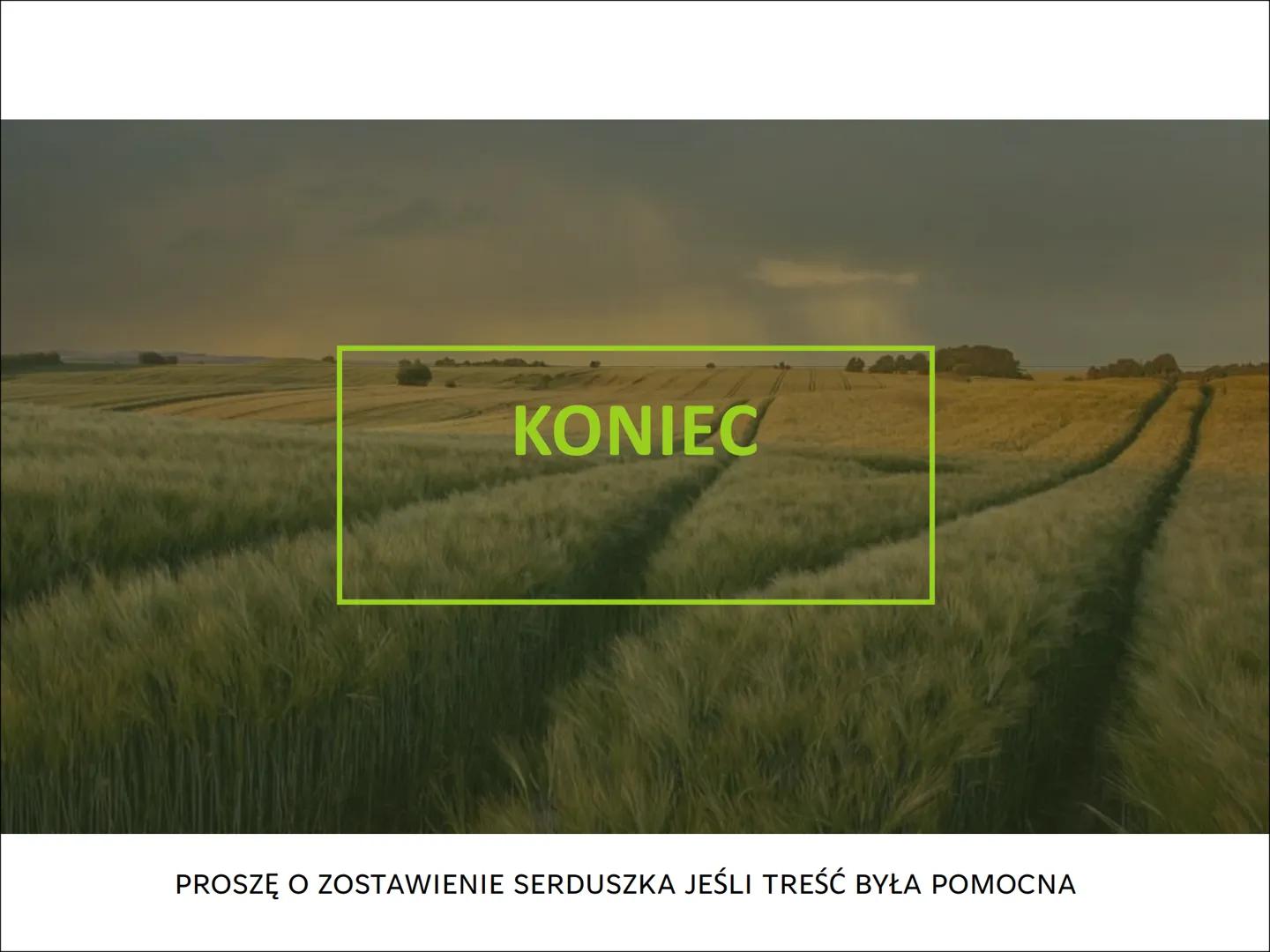 BADANIA
PRZYRODNICZE
STEPNIEWSKAA ●
NA TEN TEMAT
SKŁADAJĄ SIĘ:
METODYKA BADAŃ
PRZYRODNICZYCH
• OBSERWACJE
MIKROSKOPOWE
JAKO ŹRÓDŁO
WIEDZY
BI