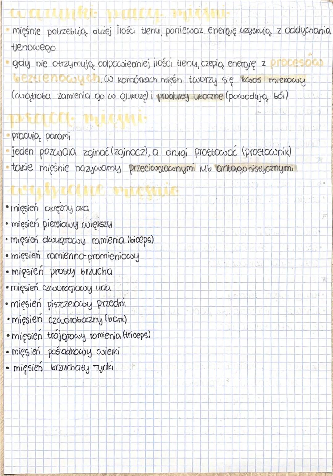 --- OCR Start ---
Dialogiar nudowa i rota
wszystkie mięśnię są zbudowane z tkanki mięśniowej
tkankę mięśniową, gradka, i mięśniową, poprzecz