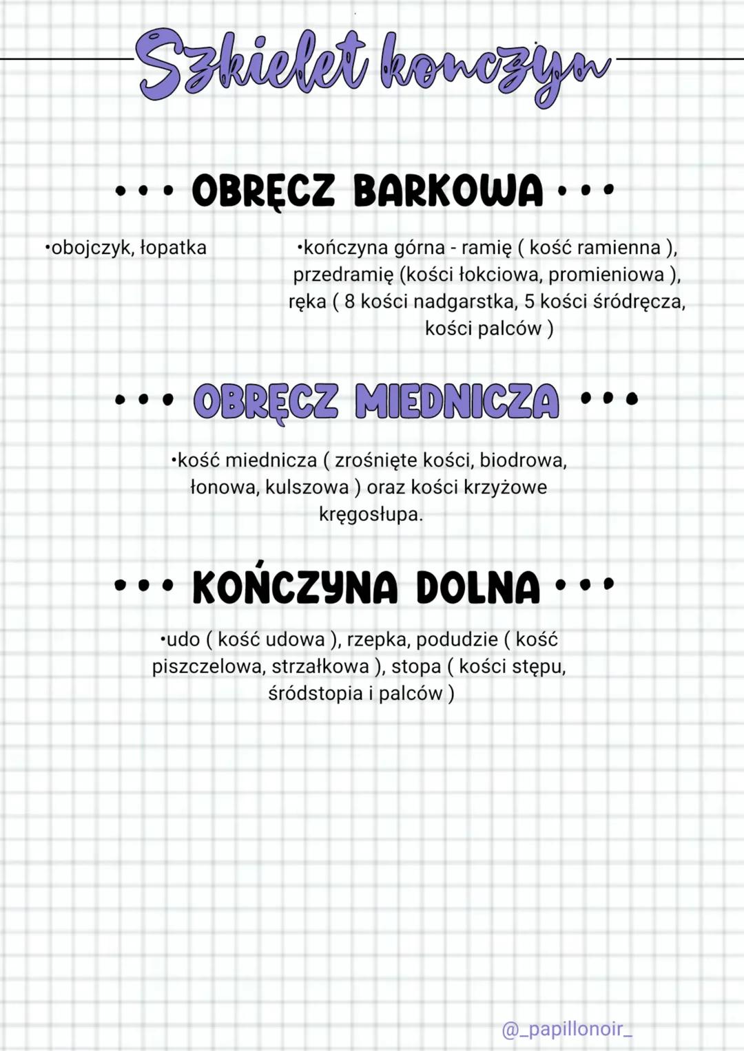 Szkielet osiowy
•mózgoczaszka - kość czołowa
ciemieniowa, potyliczna i parzyste kości
klinowe i skroniowe
kość
czołowa
•mostek
CZASZKA
KLATK