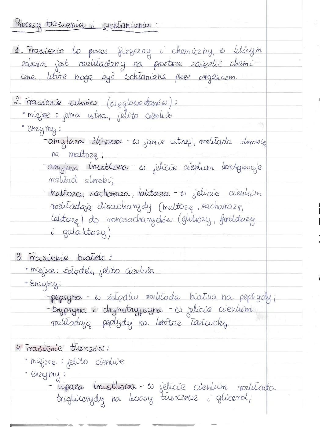 Procesy trawienia i wchłaniania - Notatka biologia klasa 2 liceum