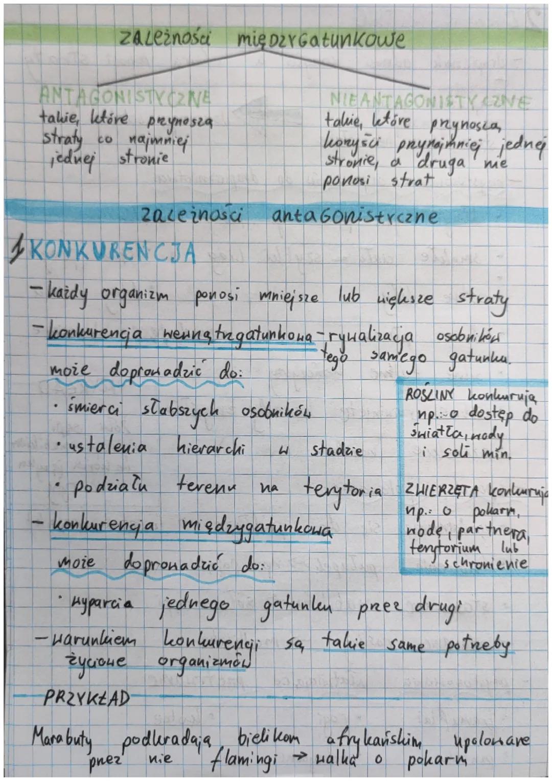 # zależności między Gatunkowe
ANTAGONISTYCZNE
takie, które przynosza
straty co najmniej
jednej stronie
NIE ANTAGONISTYAZINE
talie, letöre