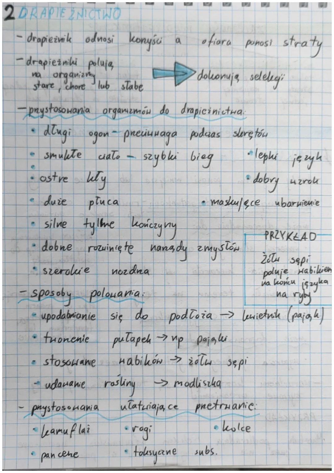 # zależności między Gatunkowe
ANTAGONISTYCZNE
takie, które przynosza
straty co najmniej
jednej stronie
NIE ANTAGONISTYAZINE
talie, letöre