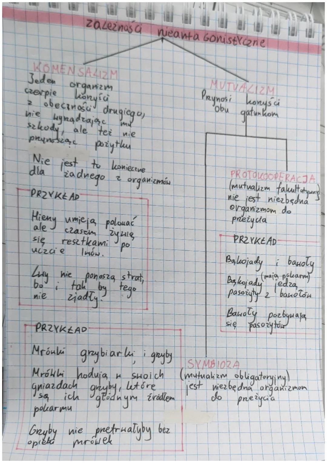 # zależności między Gatunkowe
ANTAGONISTYCZNE
takie, które przynosza
straty co najmniej
jednej stronie
NIE ANTAGONISTYAZINE
talie, letöre