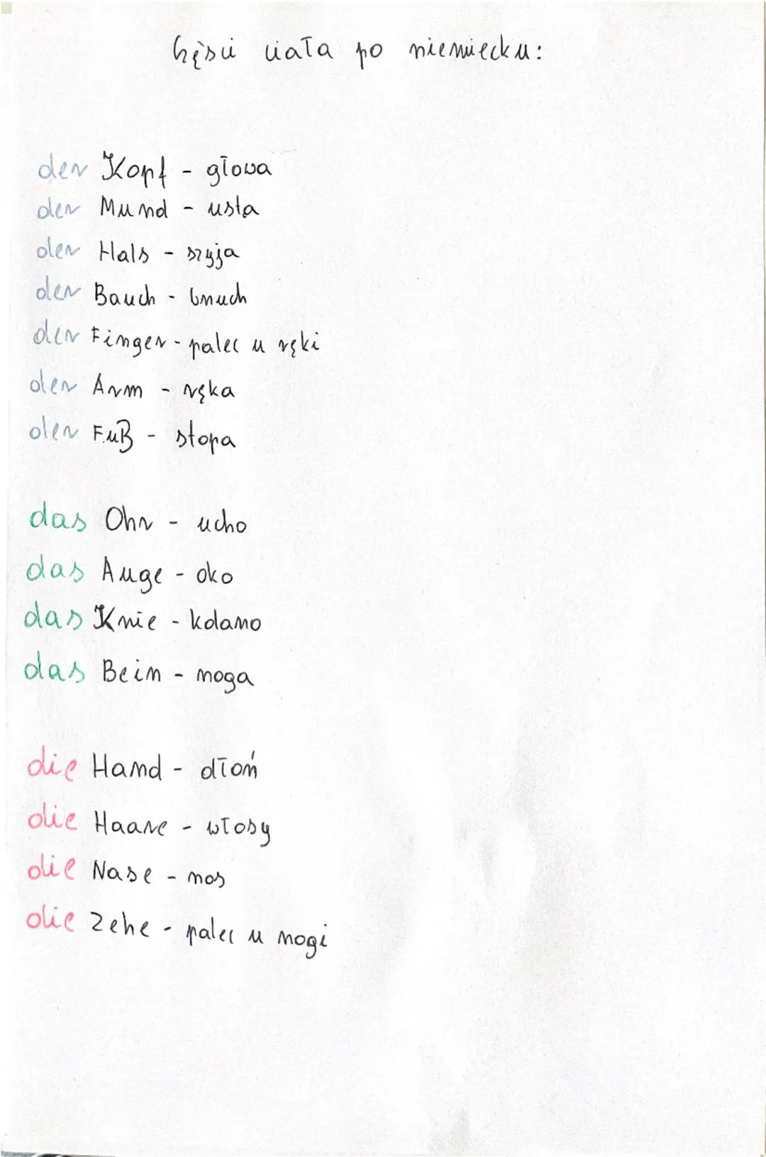 hęsiu ciała po niemiecku:
der Kopf - głowa
der Mund- usta
der Hals - szyja
der Bauch bruch
der Finger-palec u ręki
den Arm - ręka
ole